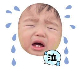613421754