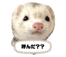 613454755