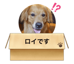 613457616