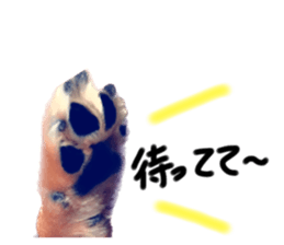 613468609