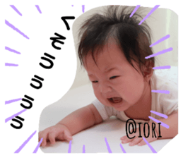 613546329