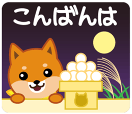 613563533