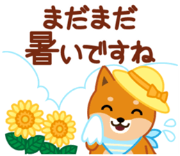 613563546