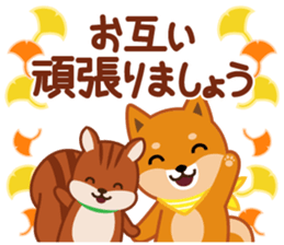 613563557