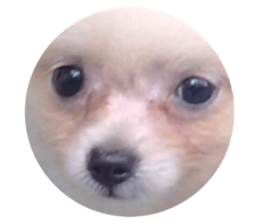 613567378