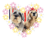 613570645