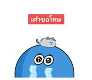 613576260