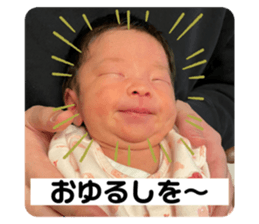 613595919