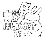 613599202
