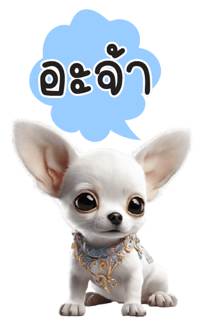 613600072