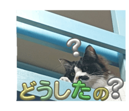 613606737