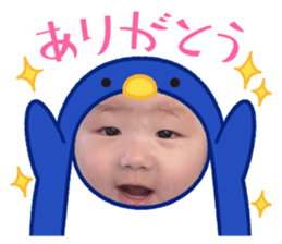 613684537