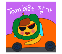 613702590