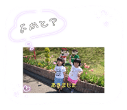 613734526