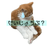 613774816