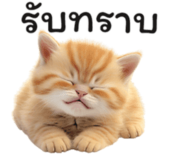 สติกเกอร์ 613839705