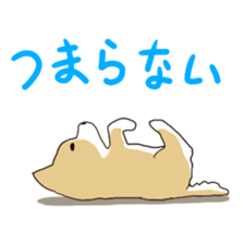 6138624