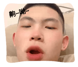 613869977