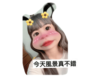 613885918