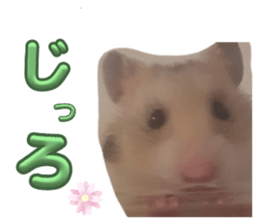 613908837
