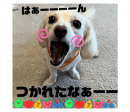 614010743
