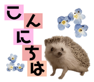614013795