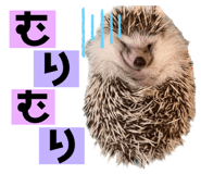 614013929