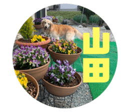 614016094