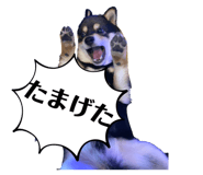 614047107