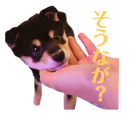 614047124