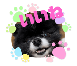 614049583