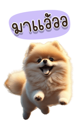 614063567
