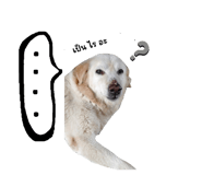614080318