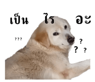 614080324