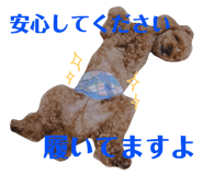 61408941
