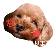 61408949