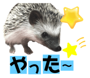614143116