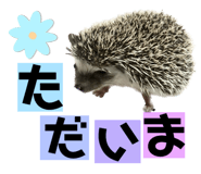 614143120
