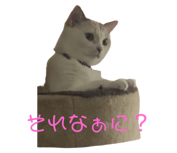 614176899