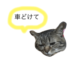 61423066