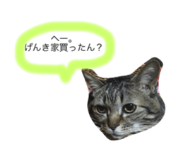 61423067