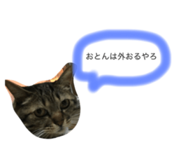 61423069