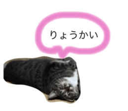 61423072