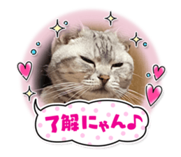 614294611