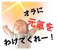 614297446