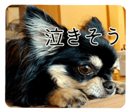614300800