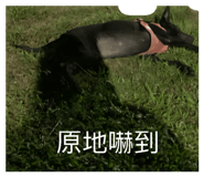614356327