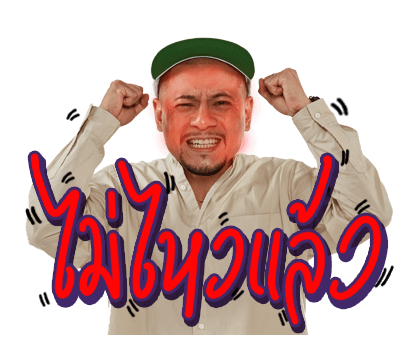 ไทยเท ฮอต ไทยเท ฮิตส์ รูปที่ 8