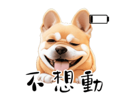 614359954