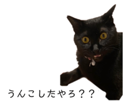 614491164
